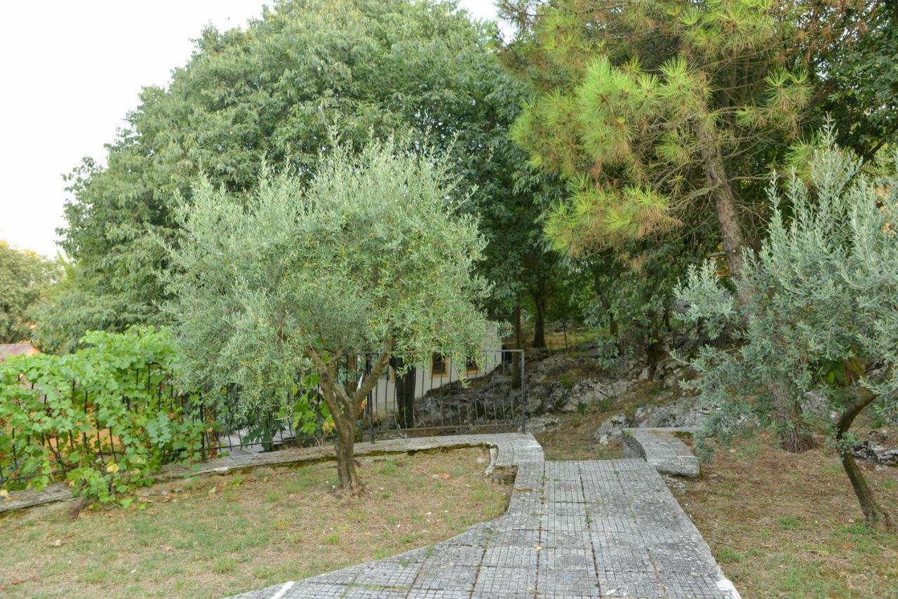 Village Of Peace - House 38 Shkodër 외부 사진